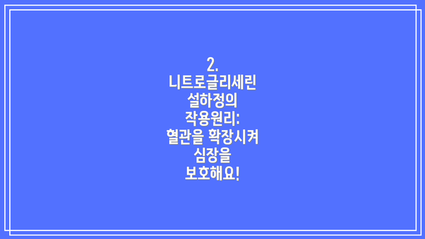 2. 니트로글리세린 설하정의 작용원리: 혈관을 확장시켜 심장을 보호해요!