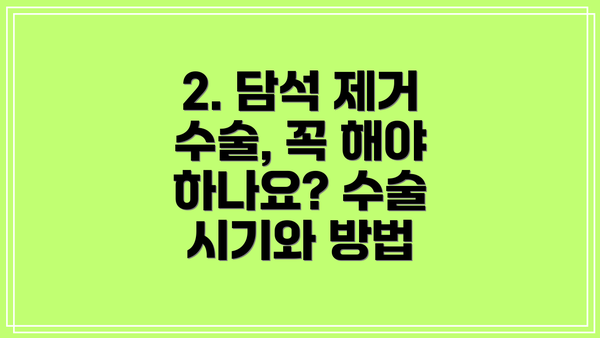 2. 담석 제거 수술, 꼭 해야 하나요? 수술 시기와 방법