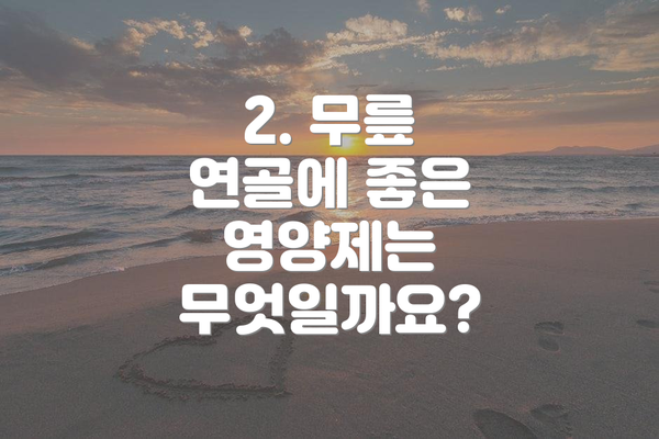 2. 무릎 연골에 좋은 영양제는 무엇일까요?