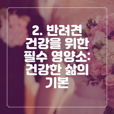 2. 반려견 건강을 위한 필수 영양소: 건강한 삶의 기본