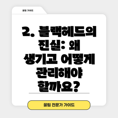 2. 블랙헤드의 진실: 왜 생기고 어떻게 관리해야 할까요?