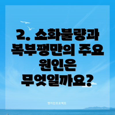 2. 소화불량과 복부팽만의 주요 원인은 무엇일까요?
