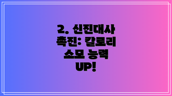 2. 신진대사 촉진: 칼로리 소모 능력 UP!