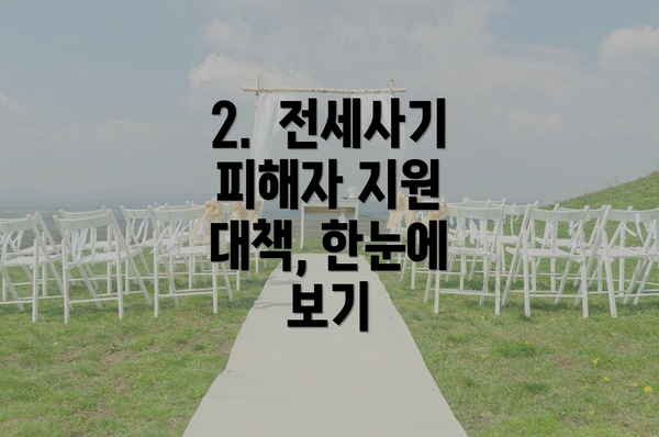 2.  전세사기 피해자 지원 대책, 한눈에 보기