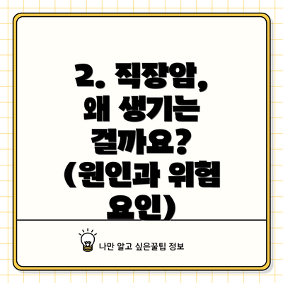 2. 직장암, 왜 생기는 걸까요? (원인과 위험 요인)
