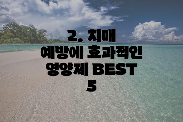 2. 치매 예방에 효과적인 영양제 BEST 5