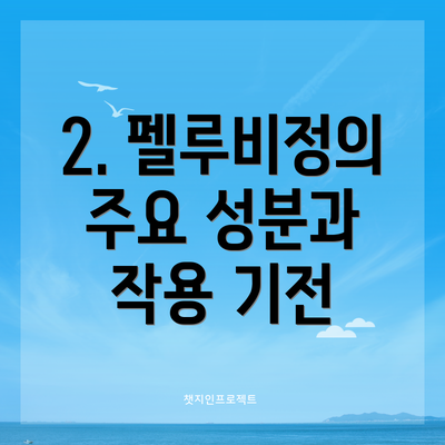 2. 펠루비정의 주요 성분과 작용 기전
