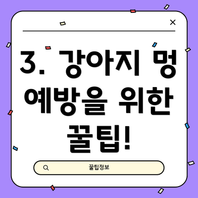 3. 강아지 멍 예방을 위한 꿀팁!