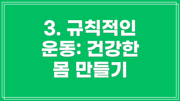3. 규칙적인 운동: 건강한 몸 만들기