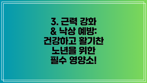 3. 근력 강화 & 낙상 예방: 건강하고 활기찬 노년을 위한 필수 영양소!