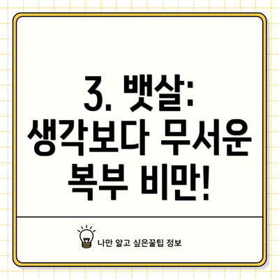 3. 뱃살: 생각보다 무서운 복부 비만!