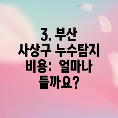 3. 부산 사상구 누수탐지 비용:  얼마나 들까요?