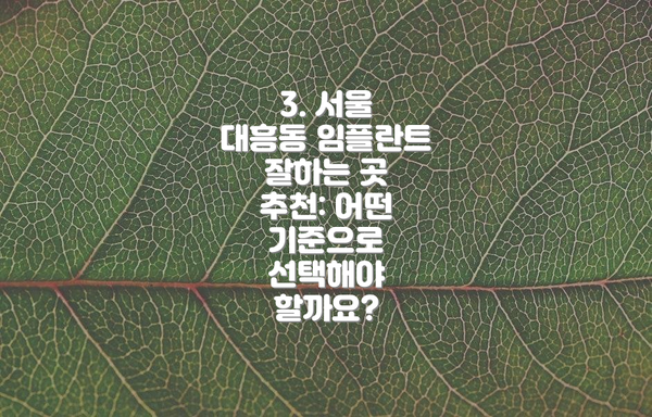 3. 서울 대흥동 임플란트 잘하는 곳 추천: 어떤 기준으로 선택해야 할까요?