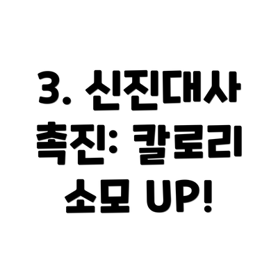 3. 신진대사 촉진: 칼로리 소모 UP!