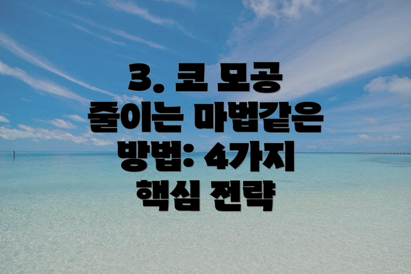 3. 코 모공 줄이는 마법같은 방법: 4가지 핵심 전략