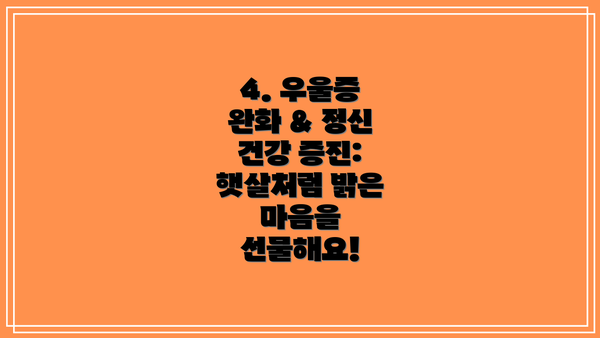 4. 우울증 완화 & 정신 건강 증진: 햇살처럼 밝은 마음을 선물해요!