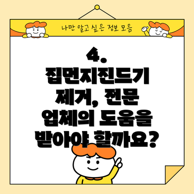 4. 집먼지진드기 제거, 전문 업체의 도움을 받아야 할까요?