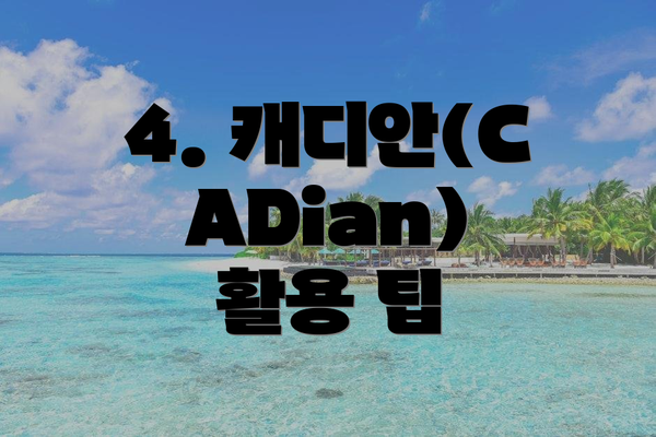 4. 캐디안(CADian) 활용 팁