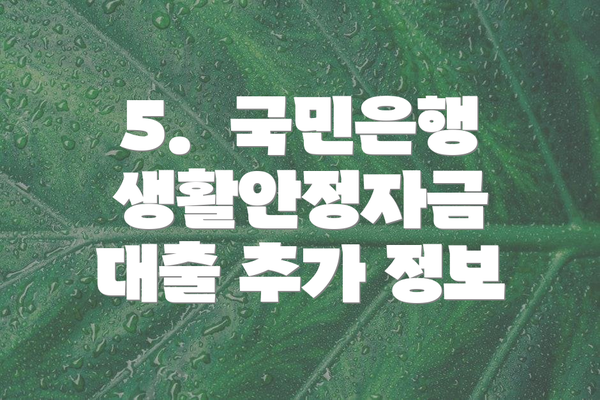 5.  국민은행 생활안정자금 대출 추가 정보