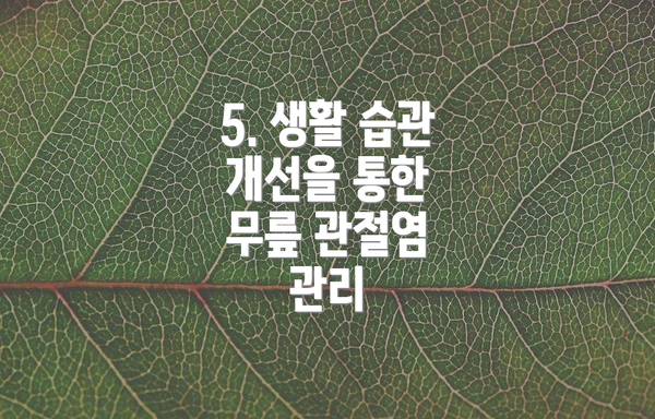 5. 생활 습관 개선을 통한 무릎 관절염 관리