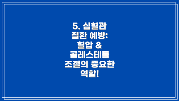 5. 심혈관 질환 예방: 혈압 & 콜레스테롤 조절의 중요한 역할!