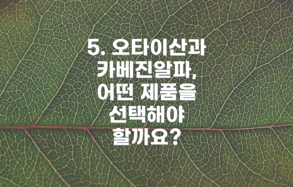 5. 오타이산과 카베진알파, 어떤 제품을 선택해야 할까요?