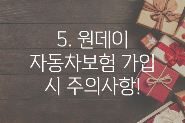 5. 원데이 자동차보험 가입 시 주의사항!