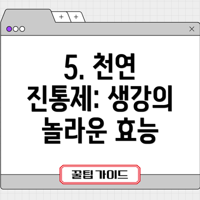 5. 천연 진통제: 생강의 놀라운 효능