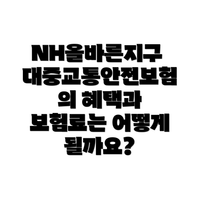 NH올바른지구 대중교통안전보험의 주요 보장내용은 무엇일까요?