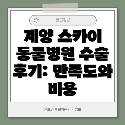 계양 스카이 동물병원 수술 후 관리: 집에서도 꼼꼼하게!