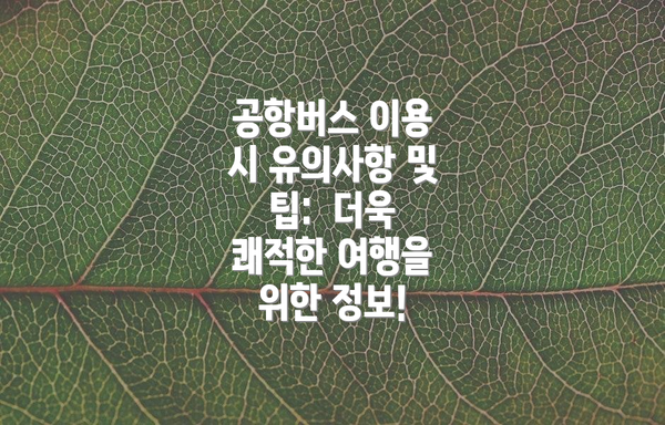 공항버스 이용 시 유의사항 및 팁:  더욱 쾌적한 여행을 위한 정보!