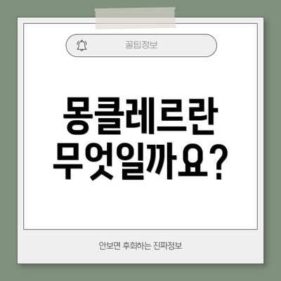 몽클레르란 무엇일까요?