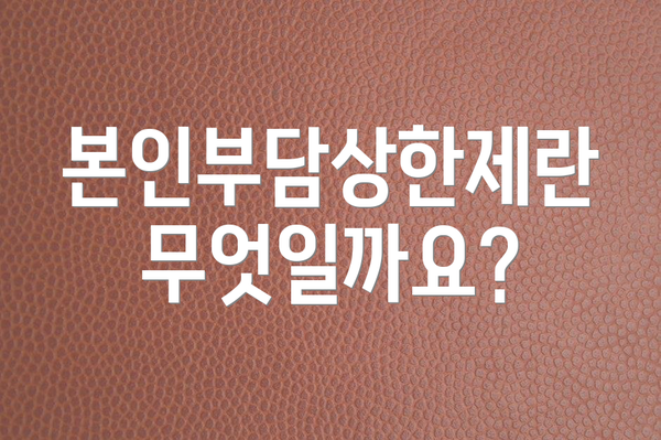본인부담상한제란 무엇일까요?