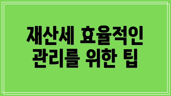 재산세 효율적인 관리를 위한 팁