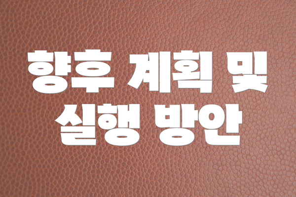 향후 계획 및 실행 방안