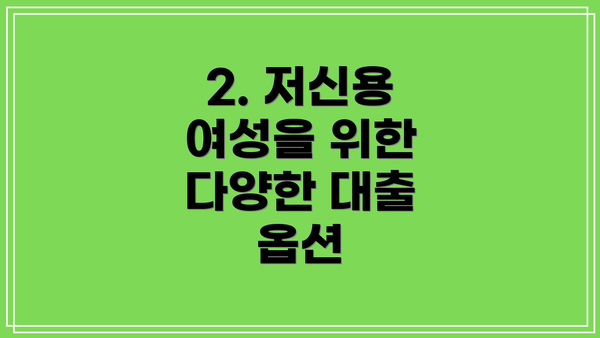 2. 저신용 여성을 위한 다양한 대출 옵션