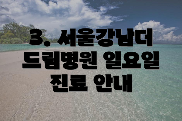 3. 서울강남더드림병원 일요일 진료 안내