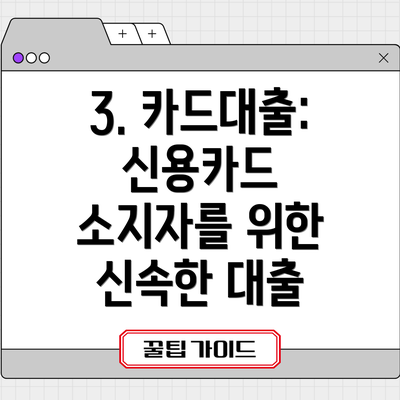 3. 카드대출: 신용카드 소지자를 위한 신속한 대출