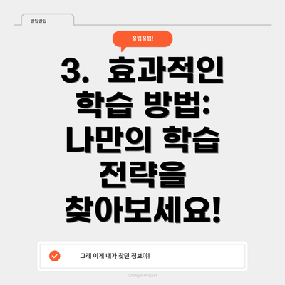 3.  효과적인 학습 방법: 나만의 학습 전략을 찾아보세요!