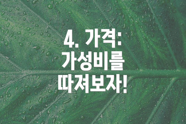 4. 가격: 가성비를 따져보자!