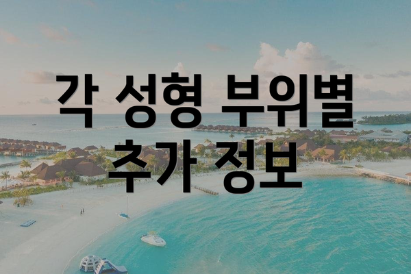 각 성형 부위별 추가 정보