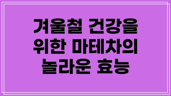 겨울철 건강을 위한 마테차의 놀라운 효능