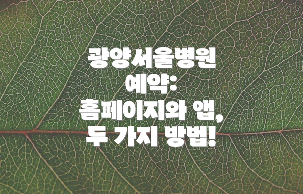 광양서울병원 예약: 홈페이지와 앱, 두 가지 방법!