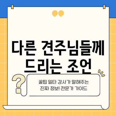 다른 견주님들께 드리는 조언