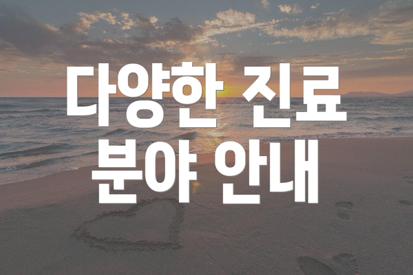 다양한 진료 분야 안내
