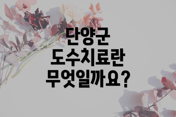 단양군 도수치료란 무엇일까요?