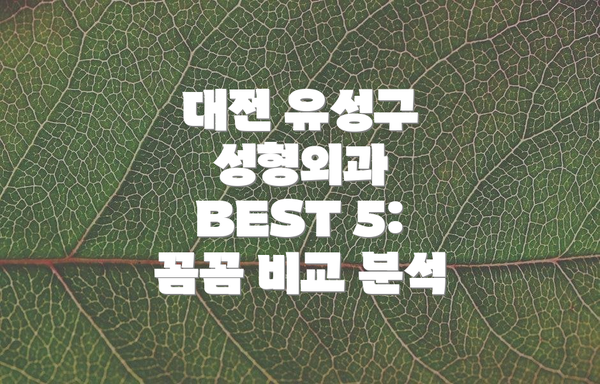 대전 유성구 성형외과 BEST 5:  꼼꼼 비교 분석