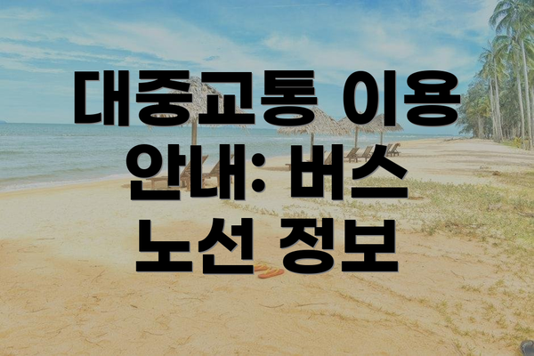 대중교통 이용 안내: 버스 노선 정보