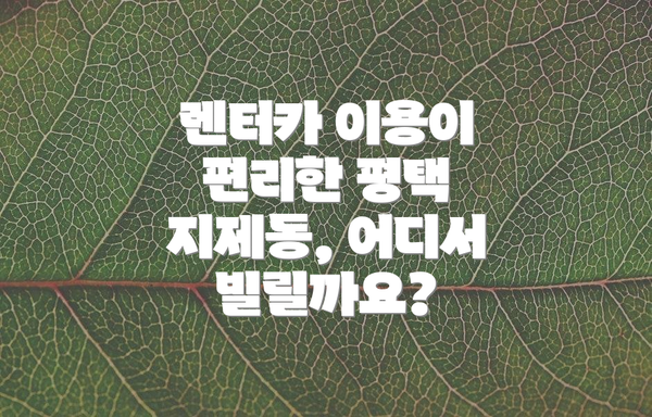 렌터카 이용이 편리한 평택 지제동, 어디서 빌릴까요?