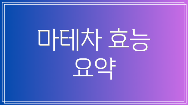 마테차 효능 요약